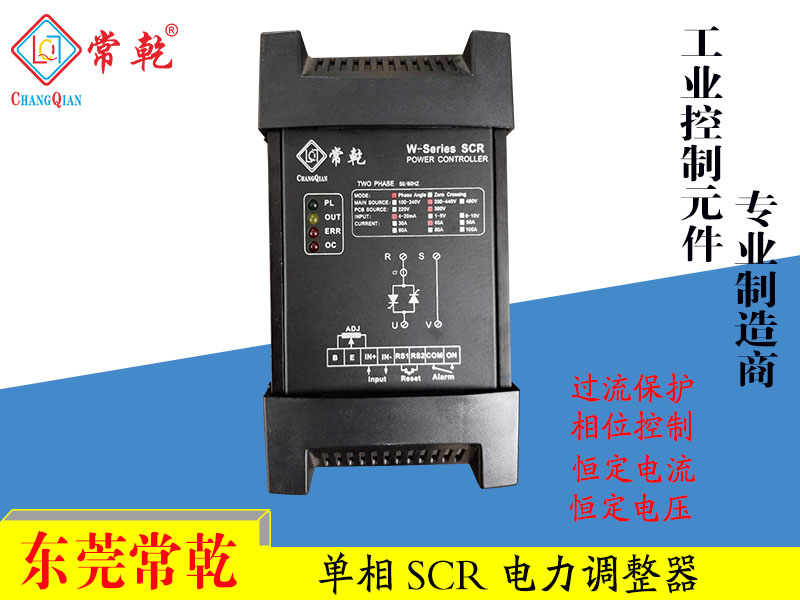 W系列电力调整器 W1P-2V080-10