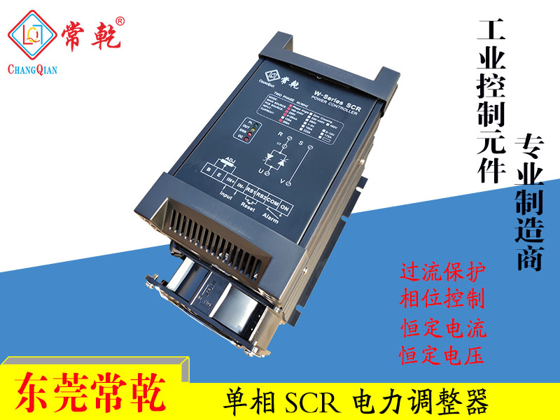 W系列 电力调整器 W1P-2V200-10